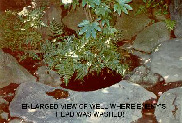 Enhanced view of the Well where Kira's head was washed.