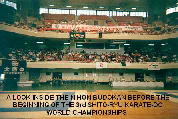 A look inside the Nihon Budokan before the beginning of the 3rd Shito-ryu Karate-do World Championships.