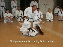 Murayama sensei executing knife defense.