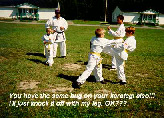 You have the same bug on your karate-gi also!!!  I'll just knock it off with my leg.  OK???