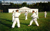 Moledzki sensei demonstrating a back-hand blocking technique.