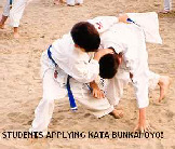 Students applying kata bunkai/oyo.