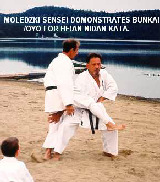 Moledzki sensei demonstrates bunkai/oyo from Kata Heian Nidan.