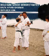 Moledzki sensei demonstrates Kata Heian Shodan application.